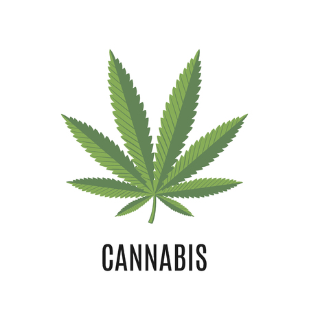 Cannabis sign isolated on white background.のイラスト素材