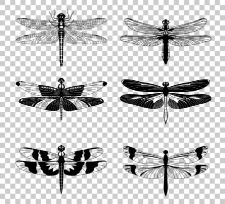 Black Dragonfly icons set isolated on transparent background. Vector illustration.のイラスト素材
