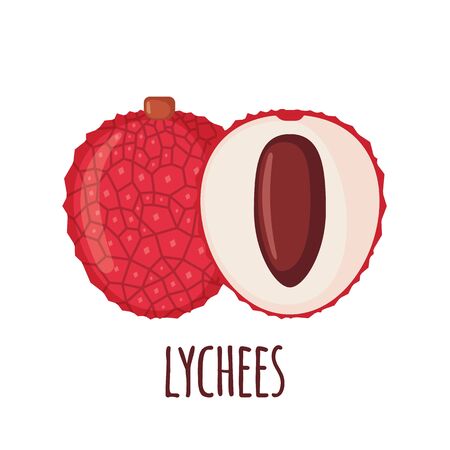 Lychee fruit icon in flat style isolated on white background. Vector illustration.のイラスト素材