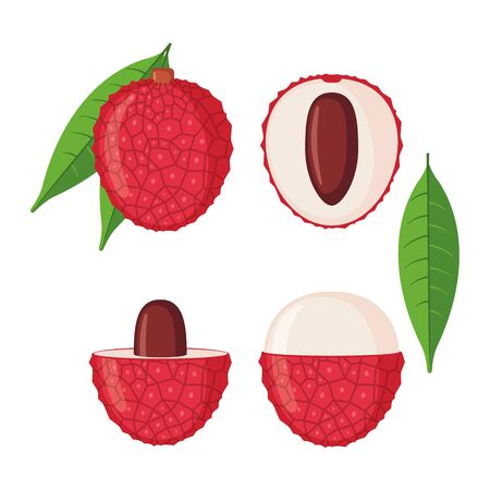 Lychee fruit icons set in flat style isolated on white background. Whole and half lychee with leaves. Vector illustration.のイラスト素材