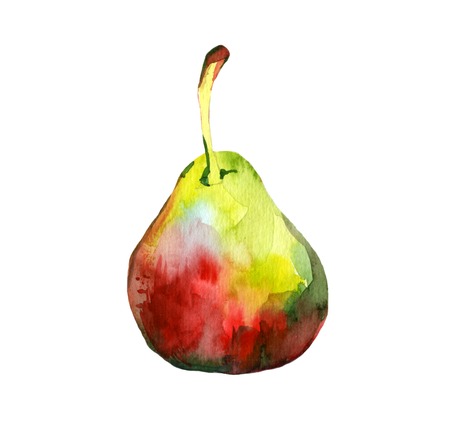 watercolor pearの写真素材