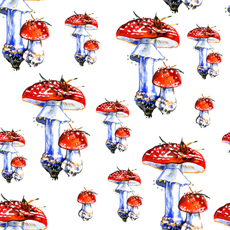 Watercolor summer insulated mushrooms Amanita pattern on white backgroundの写真素材