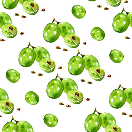 Watercolor summer insulated grape pattern on white backgroundの写真素材