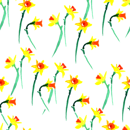 Watercolor spring floral narcissus pattern on white backgroundの写真素材