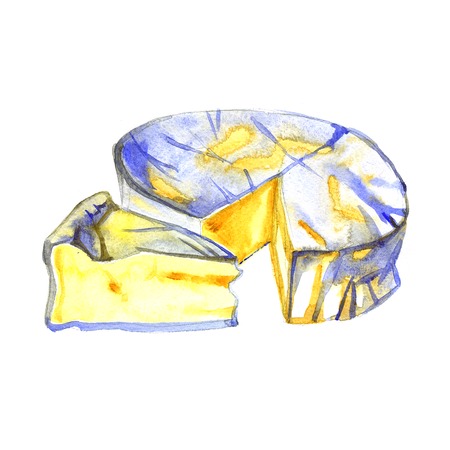 Watercolor milk cheese brie on white backgroundの写真素材