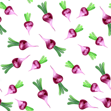 Watercolor radish seamless pattern on a white backgroundの写真素材