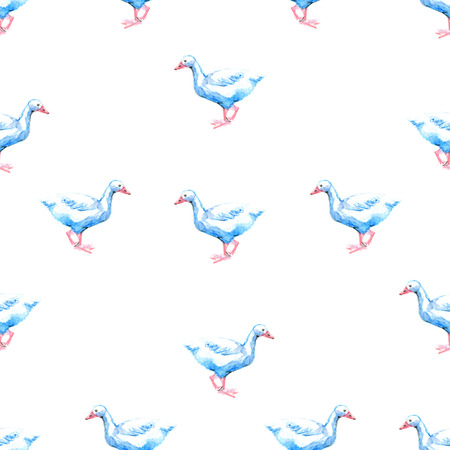Watercolor pencil seamless pattern with geeseの写真素材