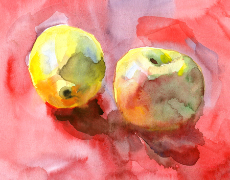 Hand drawn watercolor sketch with apples on red background. Artistic fruit background with paint splash.の写真素材