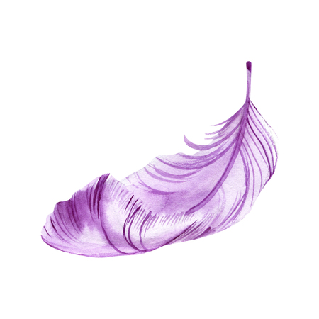 Watercolor feather on white background. It can be used for card, postcard, cover, invitation, wedding card, mothers day card, birthday card, poster, printの写真素材
