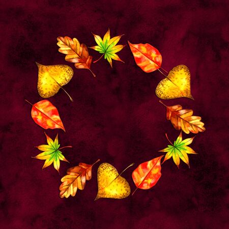 Fall leaves autumn  warm colorの写真素材