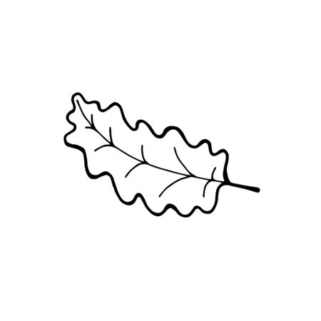 Hand drawn maple leaf outline. Maple leaf in line art style isolated on white background.のイラスト素材