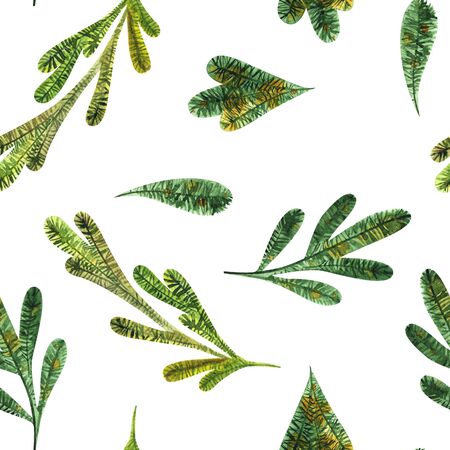 Christmas tree fir branch seamless pattern. Watercolor background.の写真素材