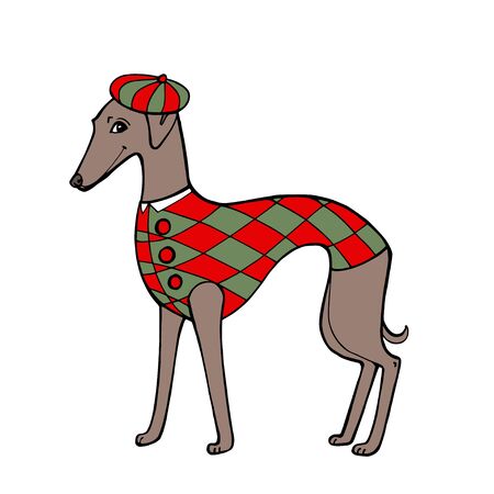 Breed dog - Whippet. Hand draw isolated on a white background. Vector illustration.のイラスト素材