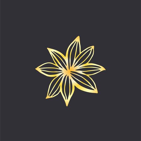 Hand drawn star anise flower. Best for cards, menu, web, invitations and otherのイラスト素材