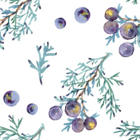 Vintage juniper seamless pattern. can be used as greeting card, invitation card for wedding, birthday and other holiday and summer backgroundの写真素材