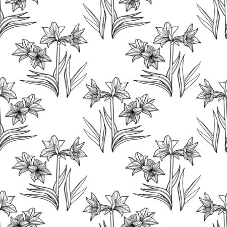 Vector Seamless Amaryllis Floral Hand-drawn Pattern. Hippeastrum Flower background for your design projects fashion textile, wallpaper, scrapbook and etc.のイラスト素材