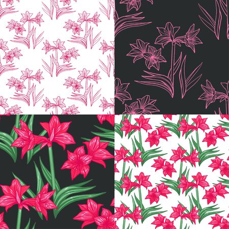 Bright colorful tropical seamless backgrounds with leaves and flowers. Hippeastrum. Amoryllis.の写真素材