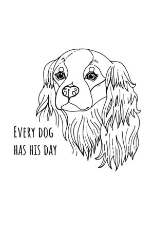 Coloring book page of Cavalier King Charles Spaniel. Hand drawn sketch for adult antistress coloring page, T-shirt emblem,  or tattoo with doodleのイラスト素材