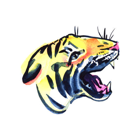 Watercolor illustration of a tiger isolated on white backgroundの写真素材