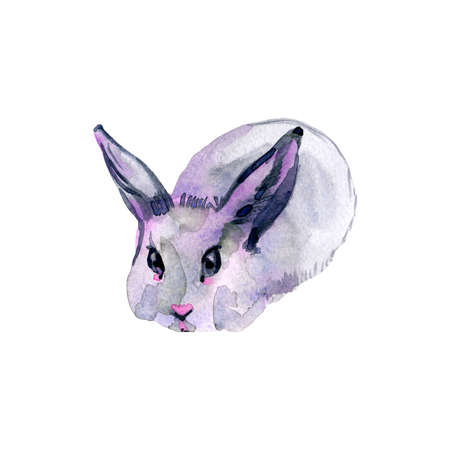 Watercolor illustration with cute bunny isolated on white background. Card for Easterの写真素材