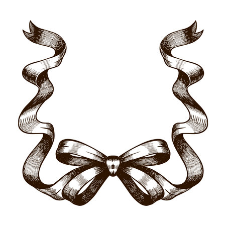 Line art bow clipart. Vintage ribbon bow Tie on the white isolated background.のイラスト素材