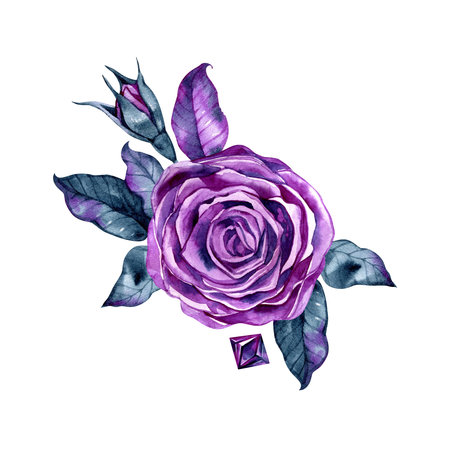 Flower bouquets with purple roses on a white isolated background. Hand-drawn watercolor illustrationの写真素材