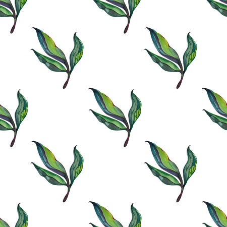 Watercolor seamless hand drawn pattern of green leaves leaf. Pattern for textile design wallpaper. Elegant boho bohemins style for modern minimalist floral decorの写真素材