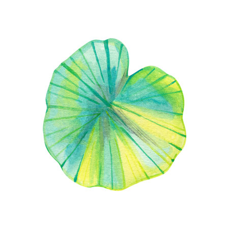 Bright watercolor lotus leaf in green and turquoise shades. Perfect for botanical art, tropical design, spa themes, and natural minimalist decor projects.の写真素材