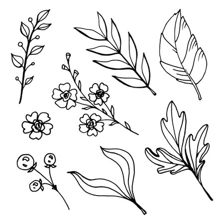 Hand-drawn vector set of botanical line art elements: leaves, branches and flowers. Perfect for coloring pages, floral design, logos, invitations, patterns, crafts and creative projects.のイラスト素材