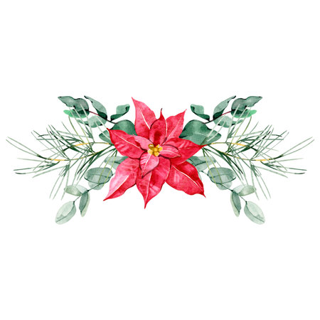 Watercolor poinsettia bouquet with pine branches, berries and ribbon. Classic Christmas floral illustration for holiday cards, invitations, decor, packaging and winter design projects.の写真素材