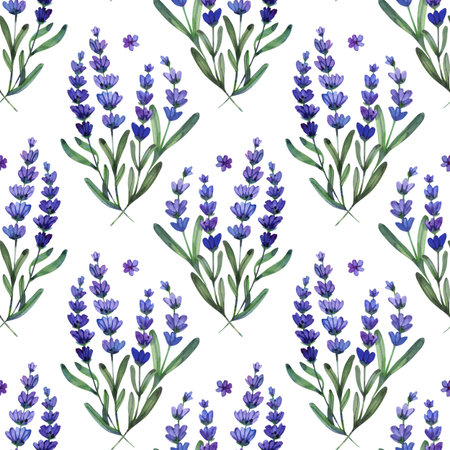 Delicate watercolor illustration of a small purple wildflower with five petals. The hand-painted botanical element features soft violet gradientsの写真素材