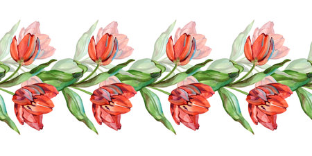 Hand-painted watercolor seamless border of vibrant red tulips and green leaves. This elegant horizontal floral ornament is perfect for spring wedding invitations, stationery, and botanical framing.の写真素材