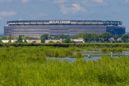 A view of the Met Life stadium from out in the Meadowland in New Jersey.の写真素材
