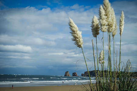 Ocean beach spain country, clouds wether and grassの写真素材