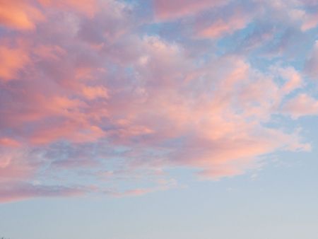 tender sunrise 4 oof july
