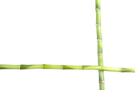 bamboo frame 1の写真素材