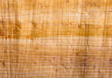 Papyrus 4の写真素材