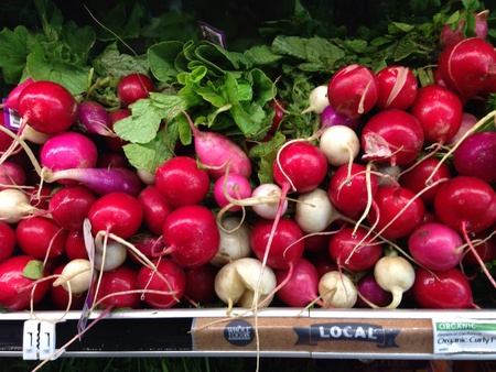 Easter egg radishes on the shelf at the store. の素材