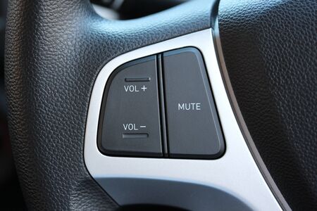 Remote vehicle audio controls