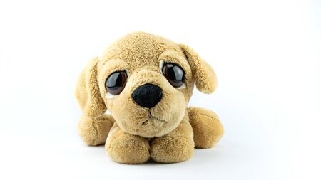 Plush toy - sad puppy isolated on white background.の写真素材