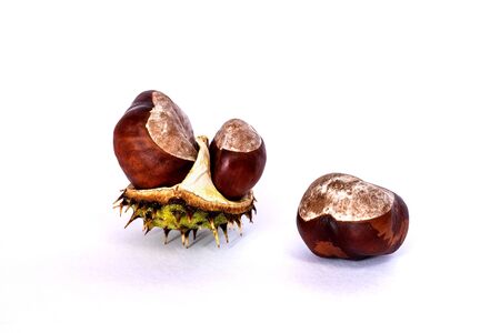 Three chestnuts on a white background.の写真素材