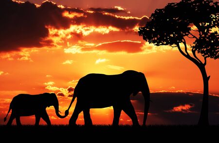 Illustration. Silhouette of elephant mother with baby in african savanna with dramatic sunset background.の写真素材