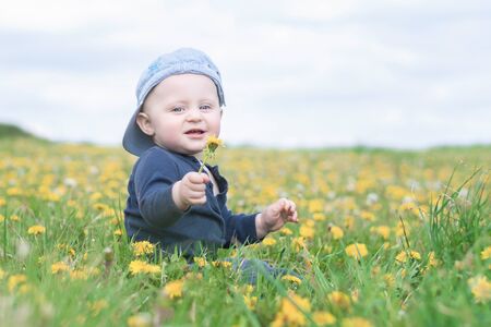 A little  caucasian boy in a baseball cap sits in a meadow full of blooming dandelions and holds one in his hand and looks into the camera.の写真素材
