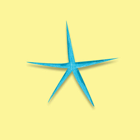 Symbol of holidays in minimalist style. Stylized blue sea starfish with threshing shadow on pastel...