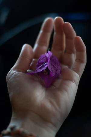 Close up of pink flower in a hand
