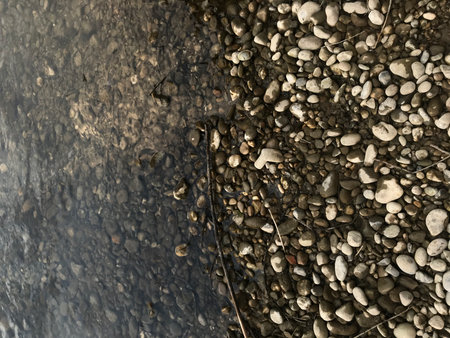 Pebbles on the ground in the rain. Abstract background.