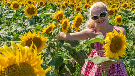 Girl in sunflowers in a red checkered dress in sunglasses, a beautiful blonde in the heat of summer the sun is shining Caucasian appearanceの写真素材