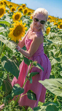 A girl in sunflowers in a beautiful red dress wearing sunglasses, a lovely blonde in the heat of summer the sun is shining European appearanceの写真素材