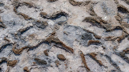 Pink salt, sea salt background, created from microscopic unicellular algae secretes betacaratin...