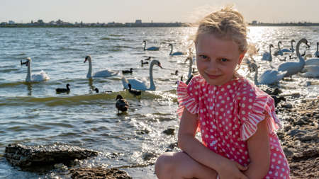 Cheerful young woman in a beautiful dress on the background of birds swans on the lake on a summer dayの写真素材